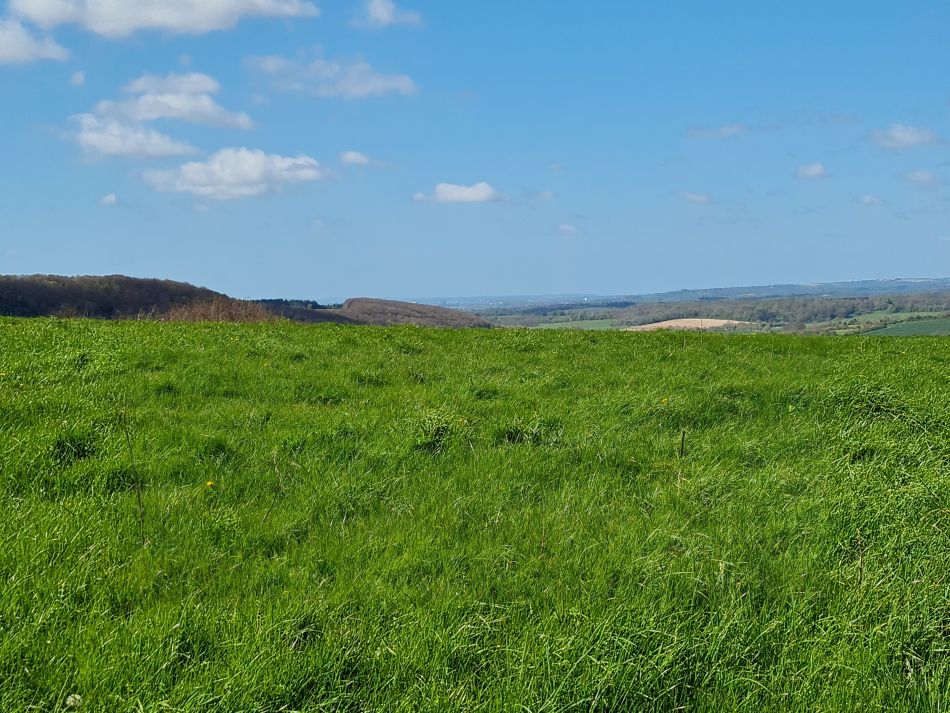 2024-04-20 12 Stoughton Down.jpg