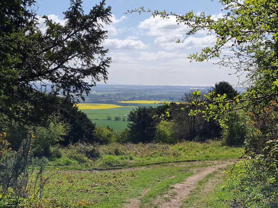 2024-04-20 13 Stoughton Down.jpg