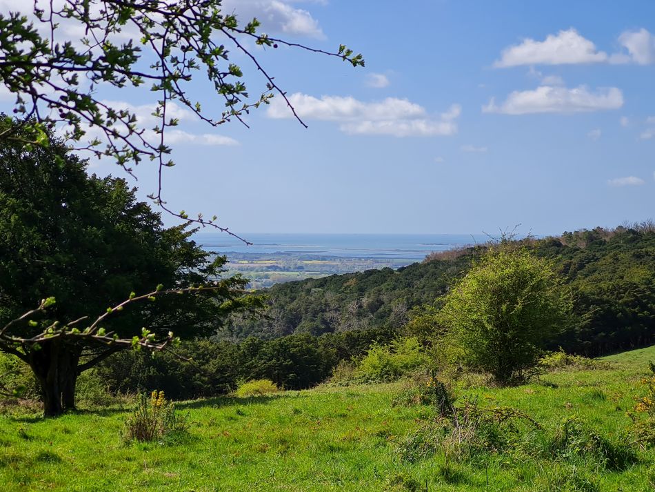 2024-04-20 14 Stoughton Down.jpg