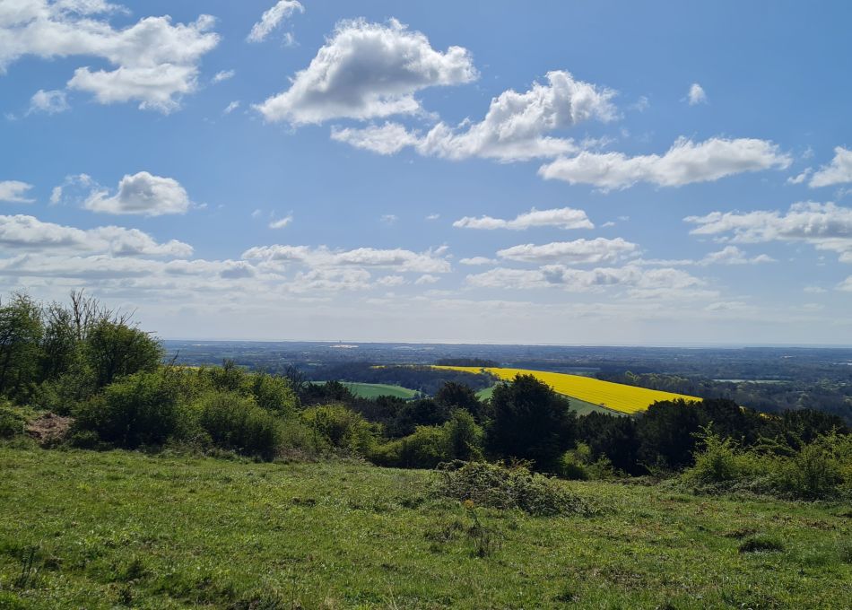 2024-04-20 16 Stoughton Down.jpg