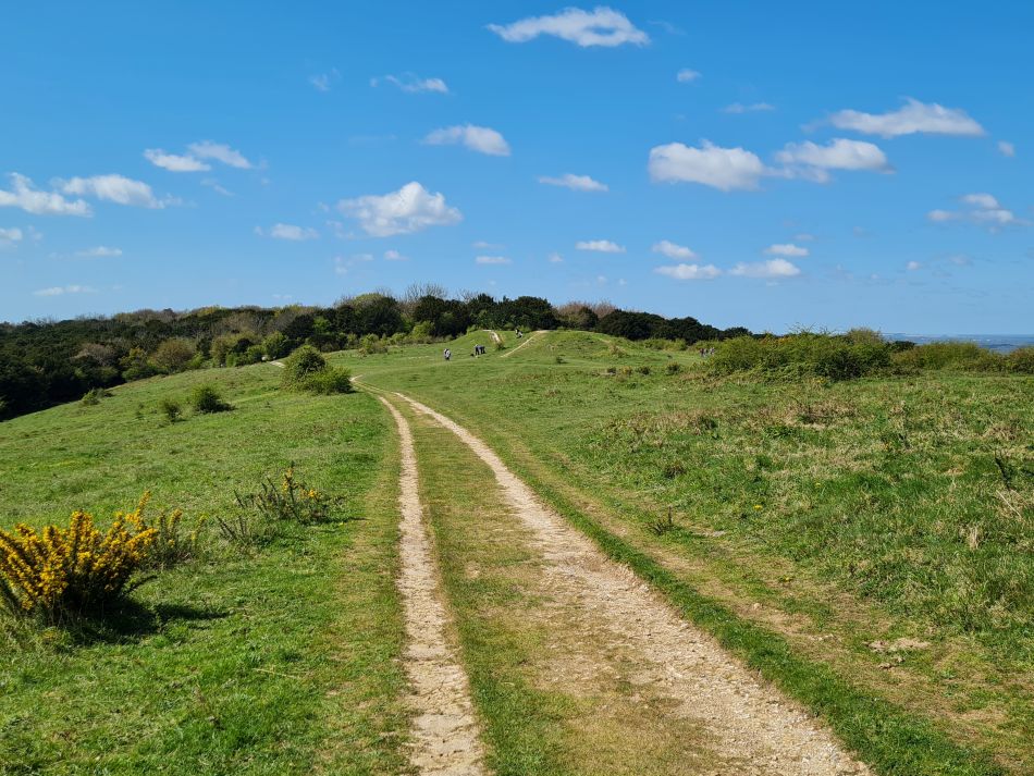 2024-04-20 17 Stoughton Down.jpg