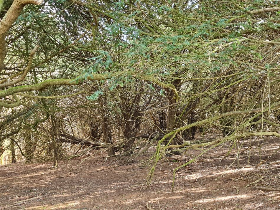 2024-04-20 19 Stoughton Down.jpg