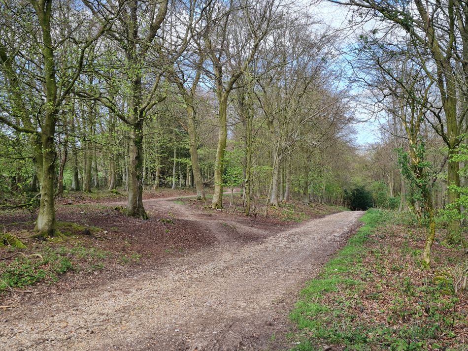 2024-04-20 20 Stoughton Down.jpg