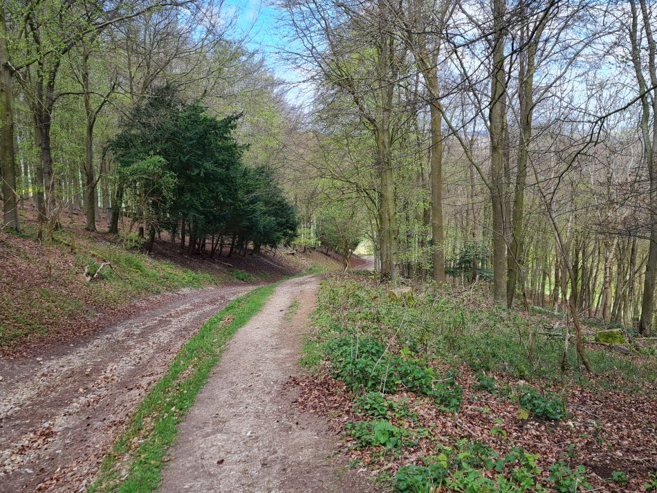 2024-04-20 22 Stoughton Down.jpg