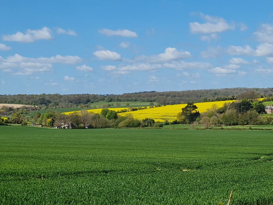 2024-04-20 23 Stoughton Down.jpg