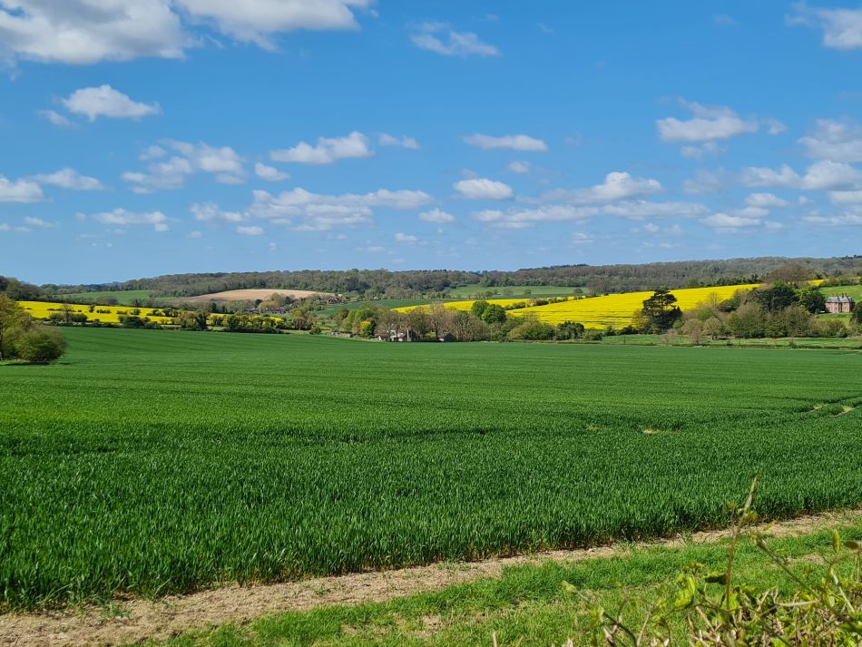 2024-04-20 24 Stoughton Down.jpg