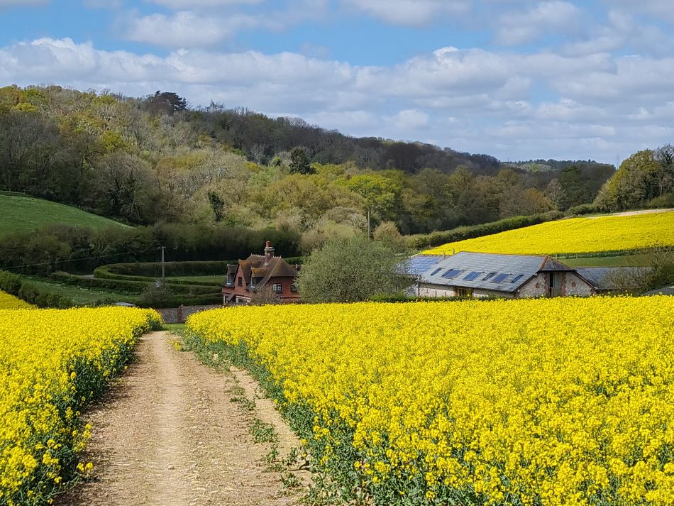 2024-04-20 52 Stoughton Down.jpg