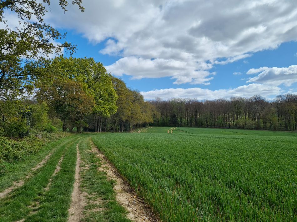 2024-04-20 53 Stoughton Down.jpg