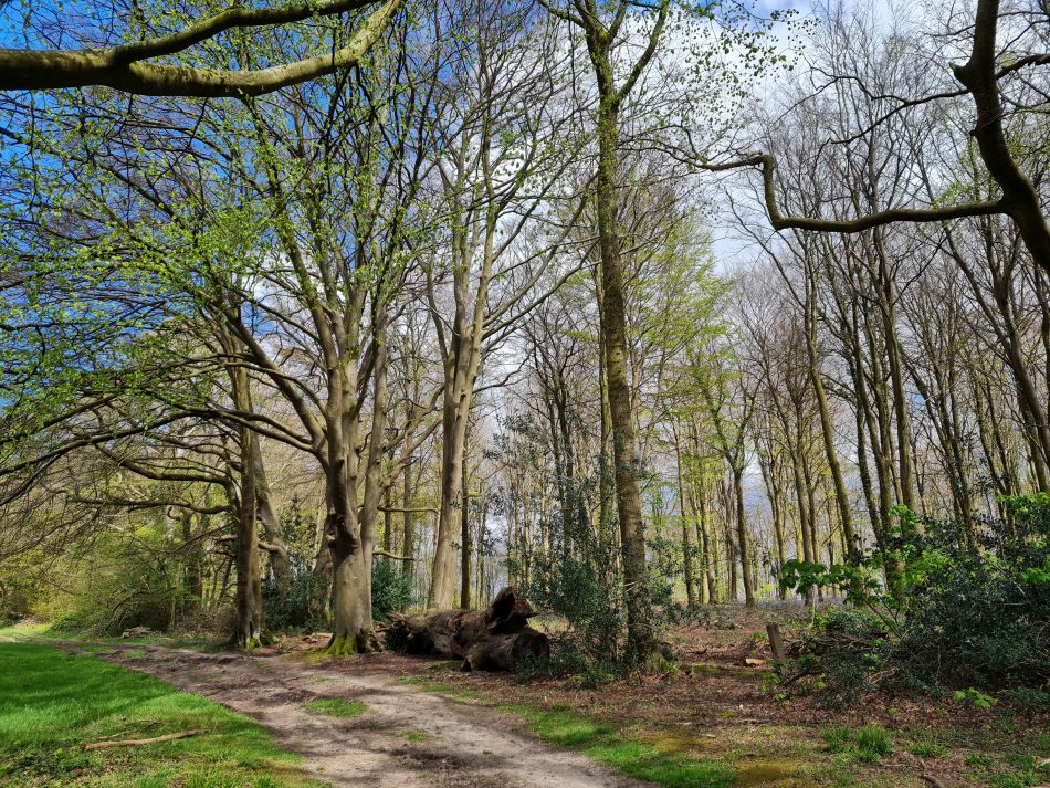 2024-04-20 54 Stoughton Down.jpg