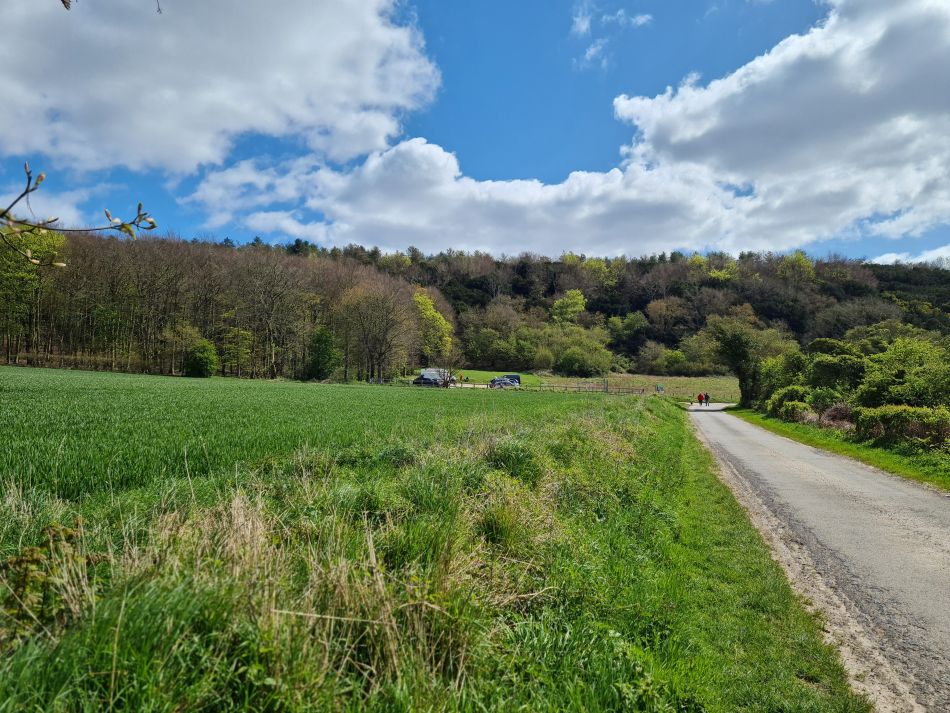 2024-04-20 55 Stoughton Down.jpg