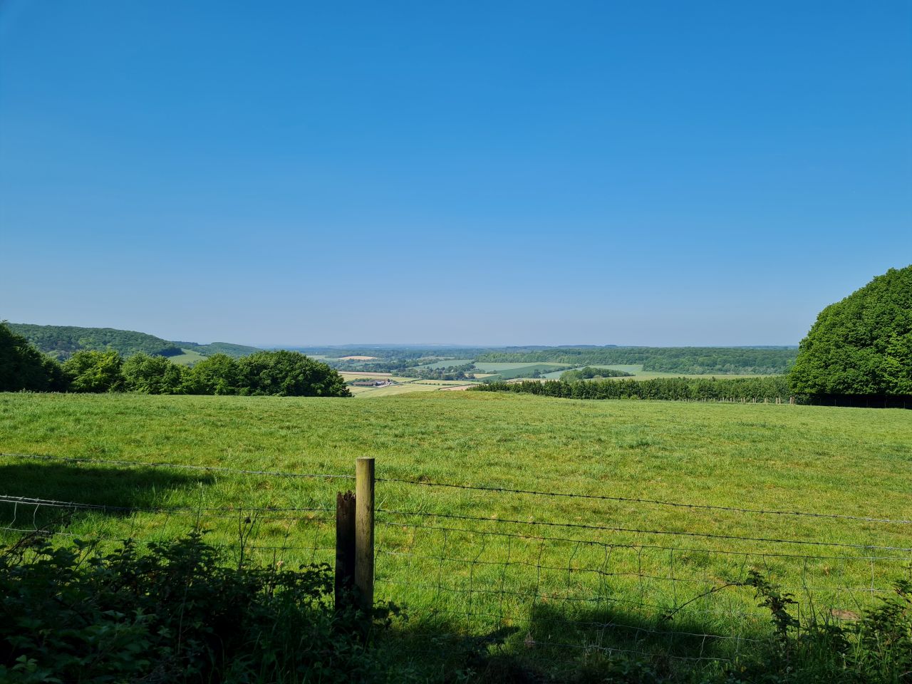 2025-05-14 01 Stoughton Down.jpg