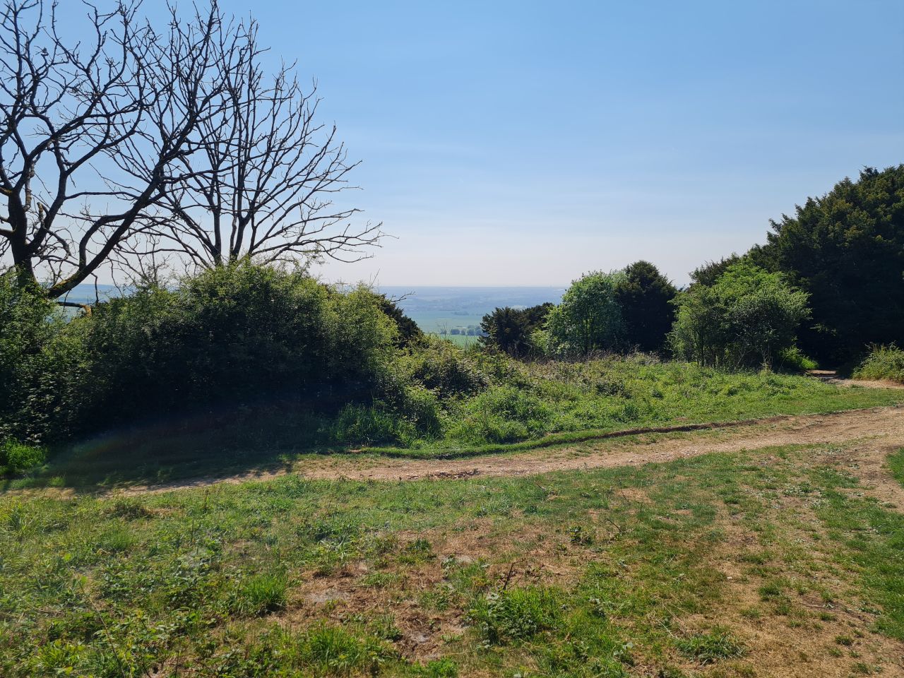 2025-05-14 02 Stoughton Down.jpg