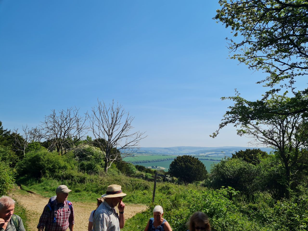 2025-05-14 04 Stoughton Down.jpg