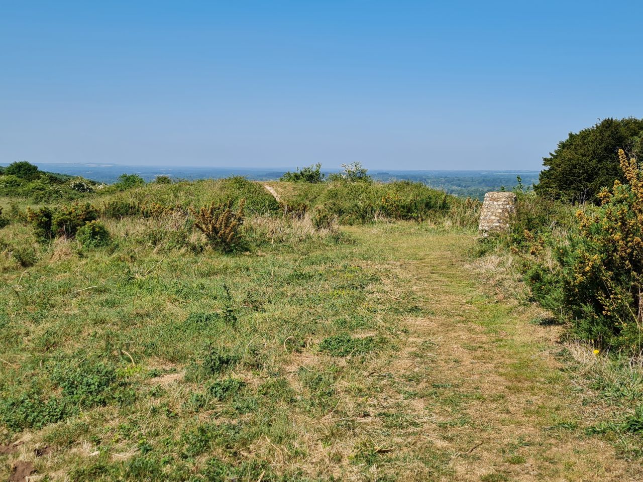 2025-05-14 05 Stoughton Down.jpg