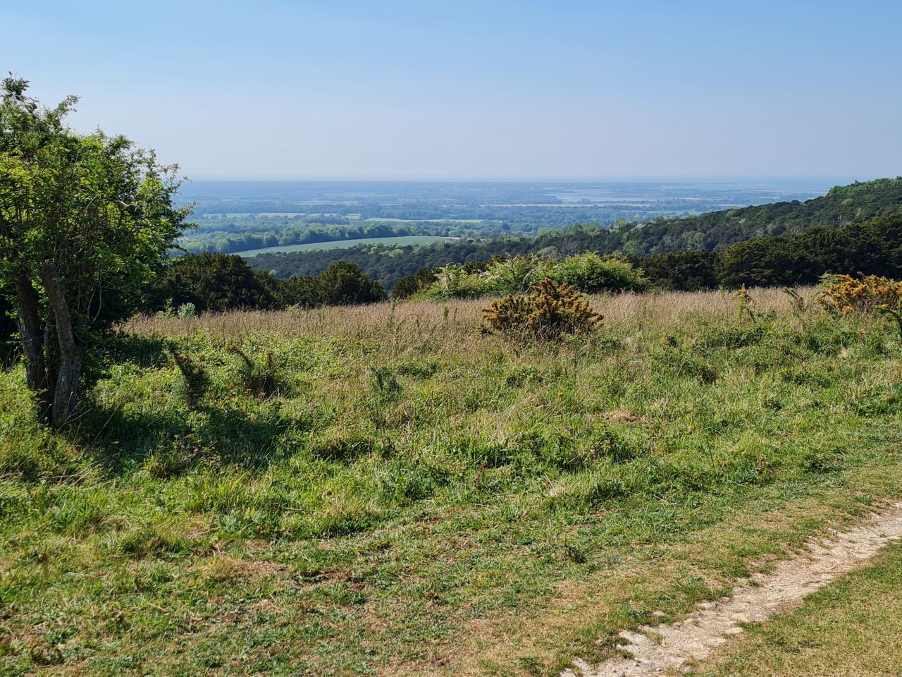 2025-05-14 06 Stoughton Down.jpg