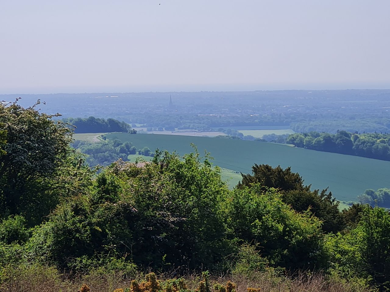 2025-05-14 07 Stoughton Down.jpg