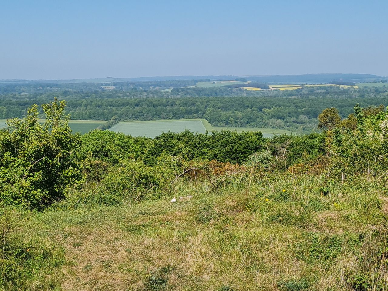 2025-05-14 08 Stoughton Down.jpg