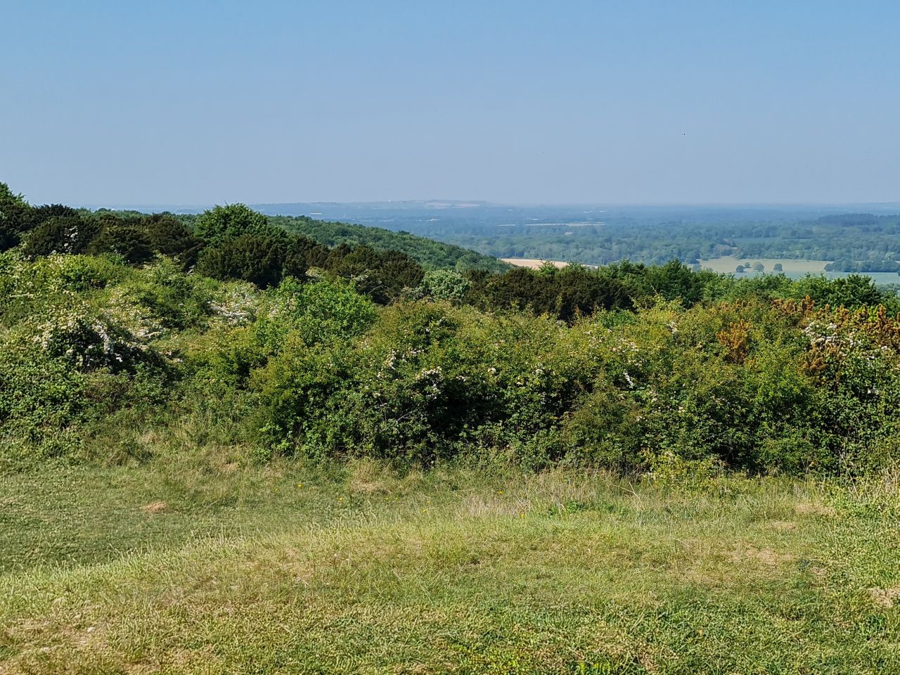 2025-05-14 10 Stoughton Down.jpg