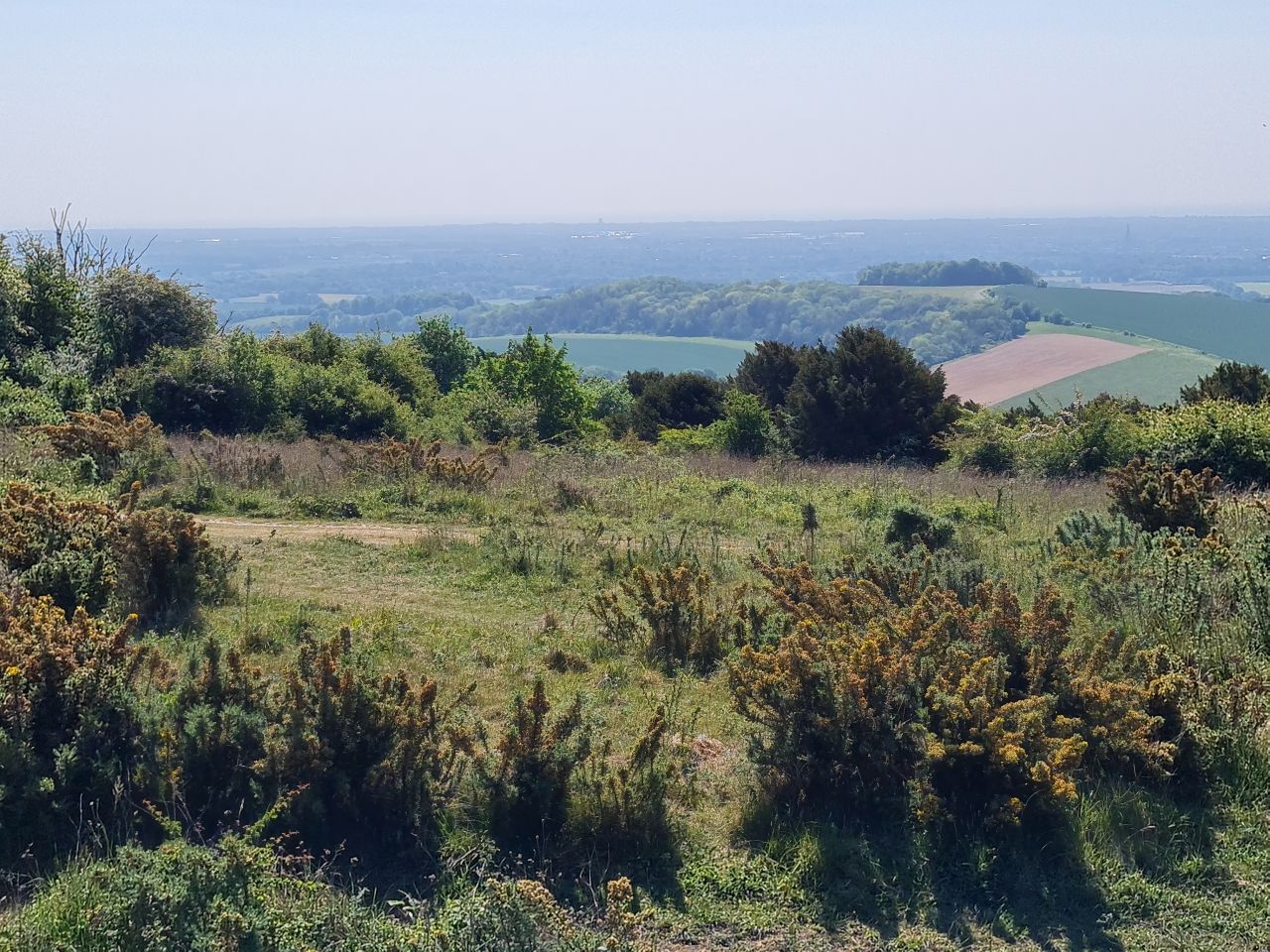 2025-05-14 11 Stoughton Down.jpg