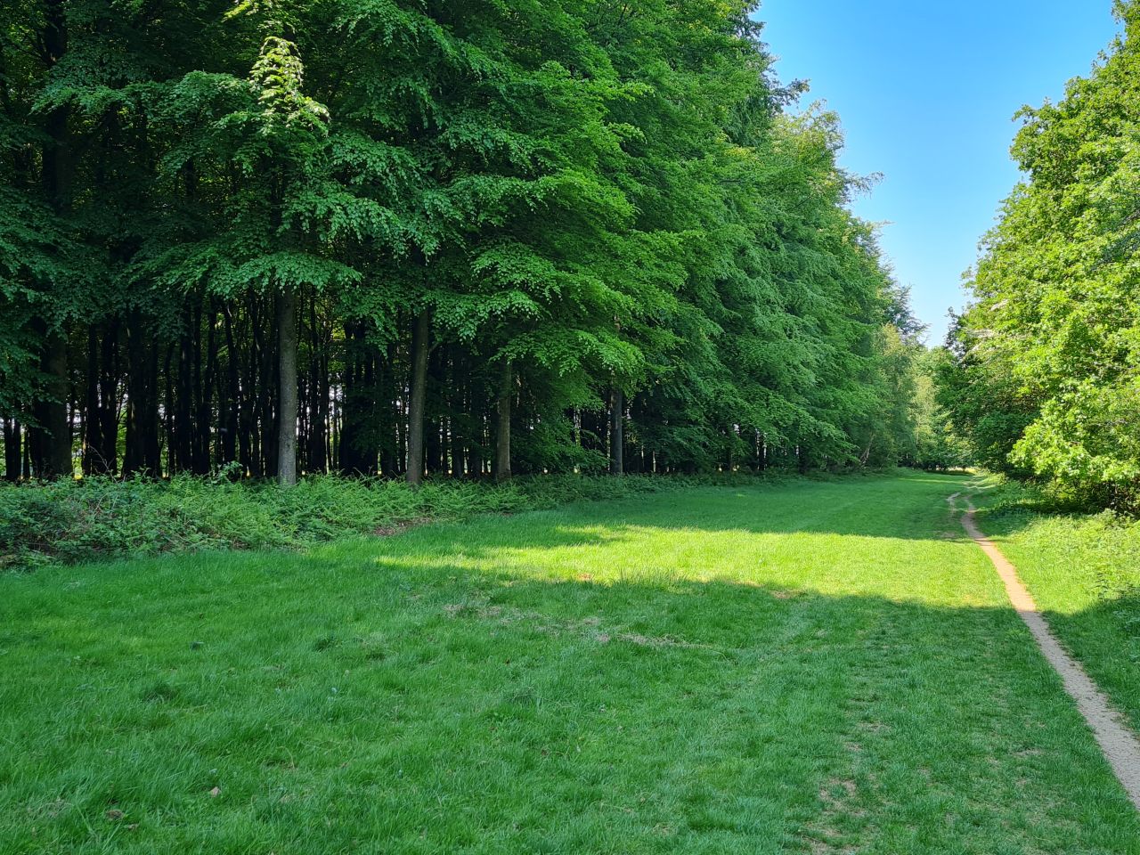 2025-05-14 12 Stoughton Down.jpg