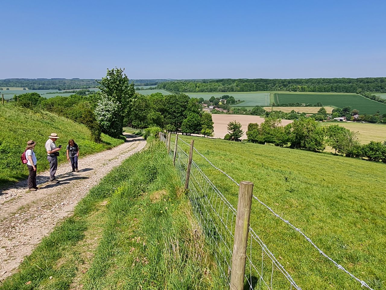 2025-05-14 13 Stoughton Down.jpg