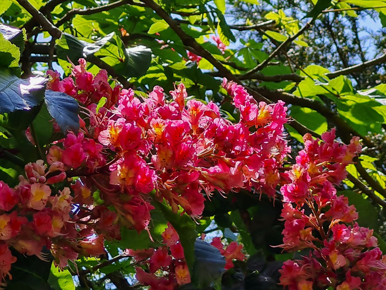 2025-05-14 33 Stoughton Down.jpg