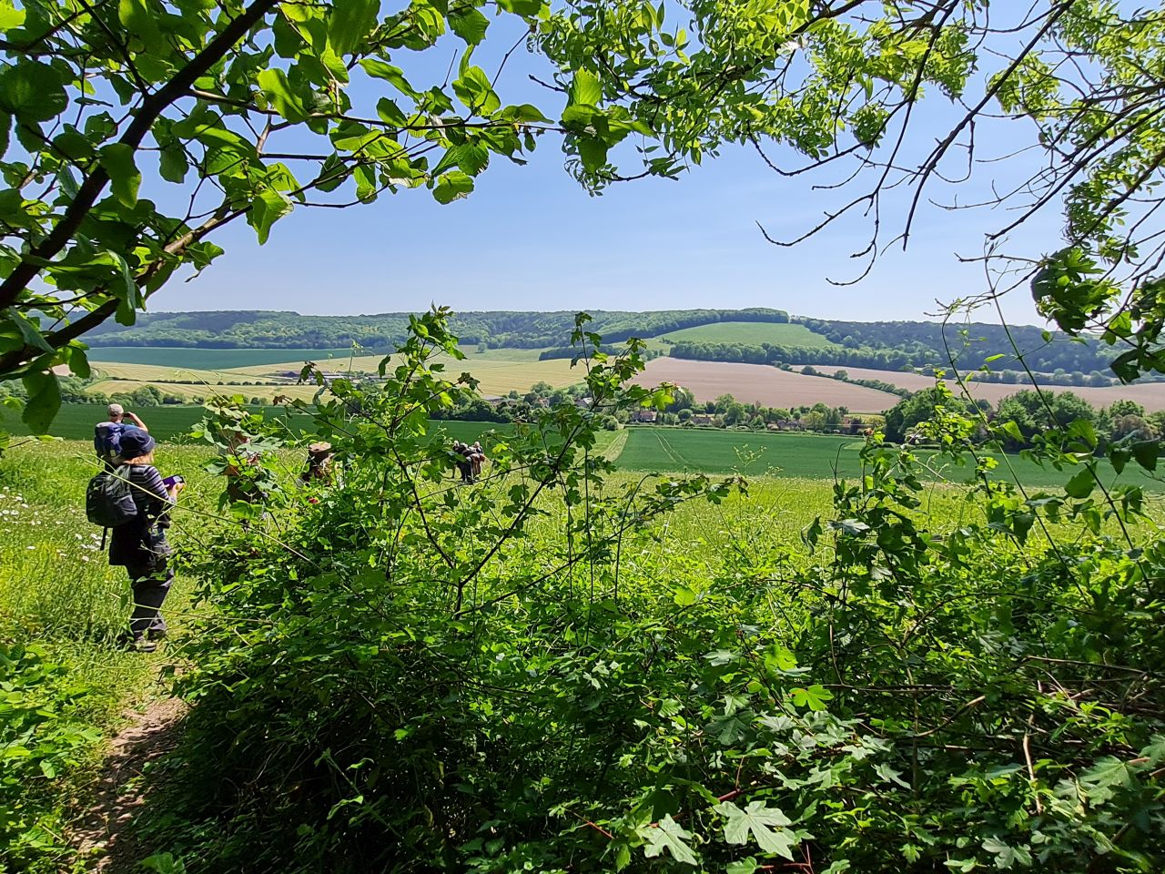 2025-05-14 34 Stoughton Down.jpg