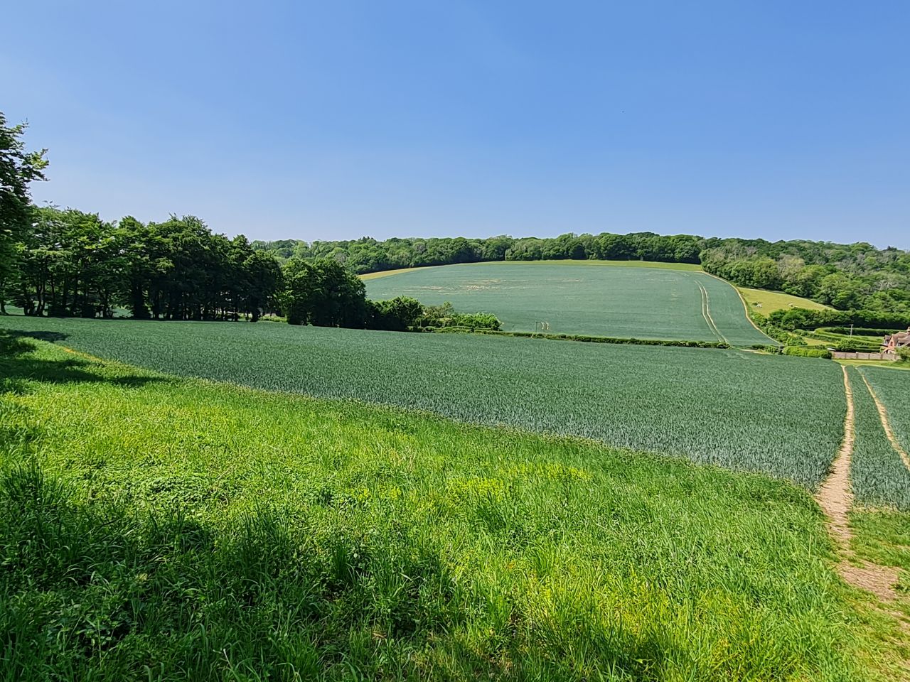 2025-05-14 37 Stoughton Down.jpg