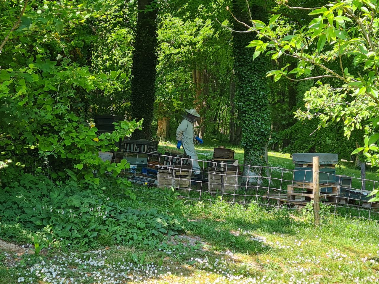 2025-05-14 38 Stoughton Down.jpg