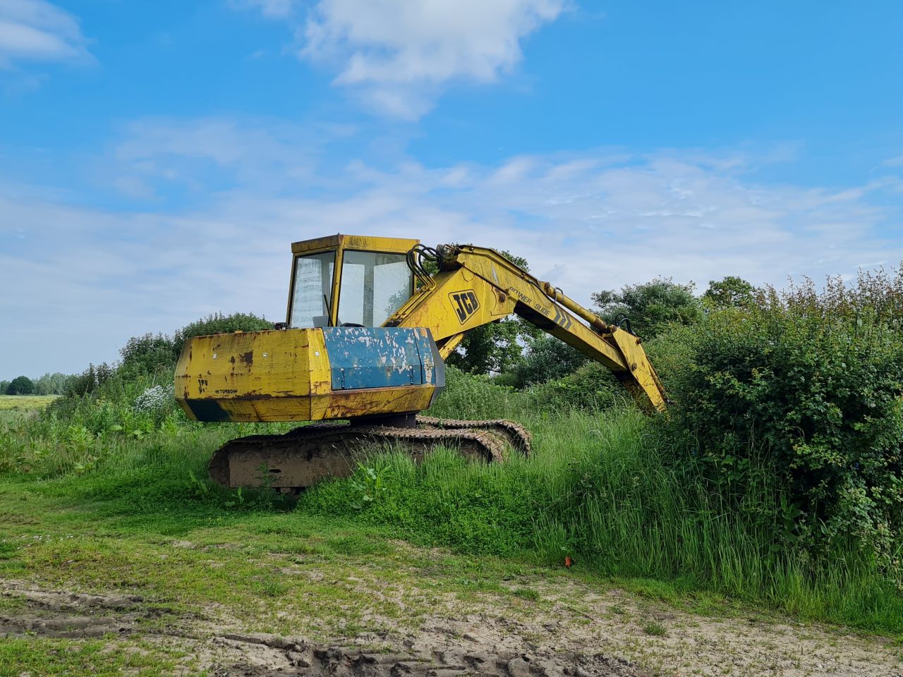 2024-06-04 11 Upton Fen.jpg