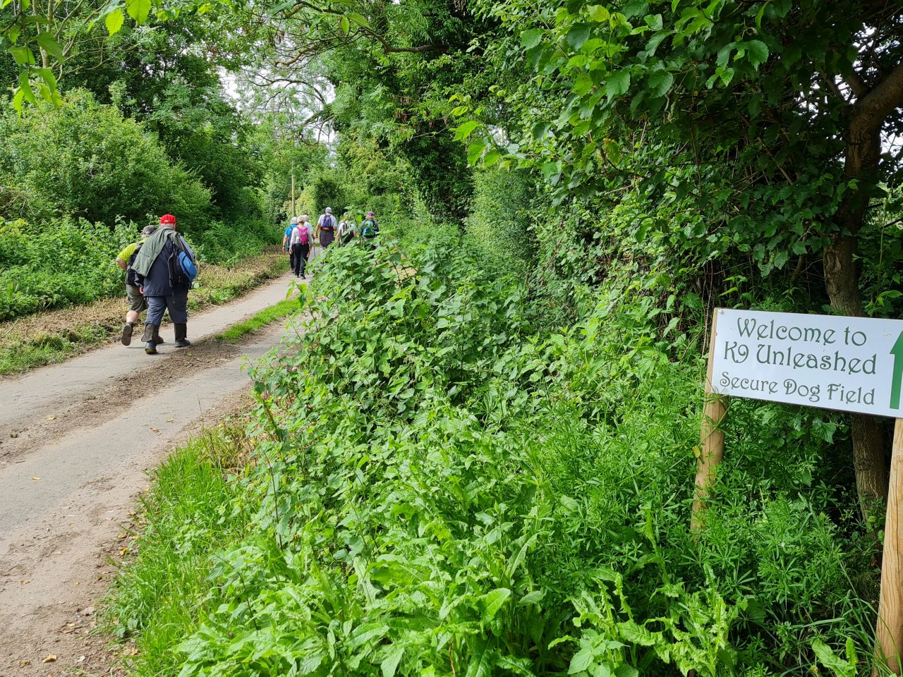 2024-06-04 13 Upton Fen.jpg