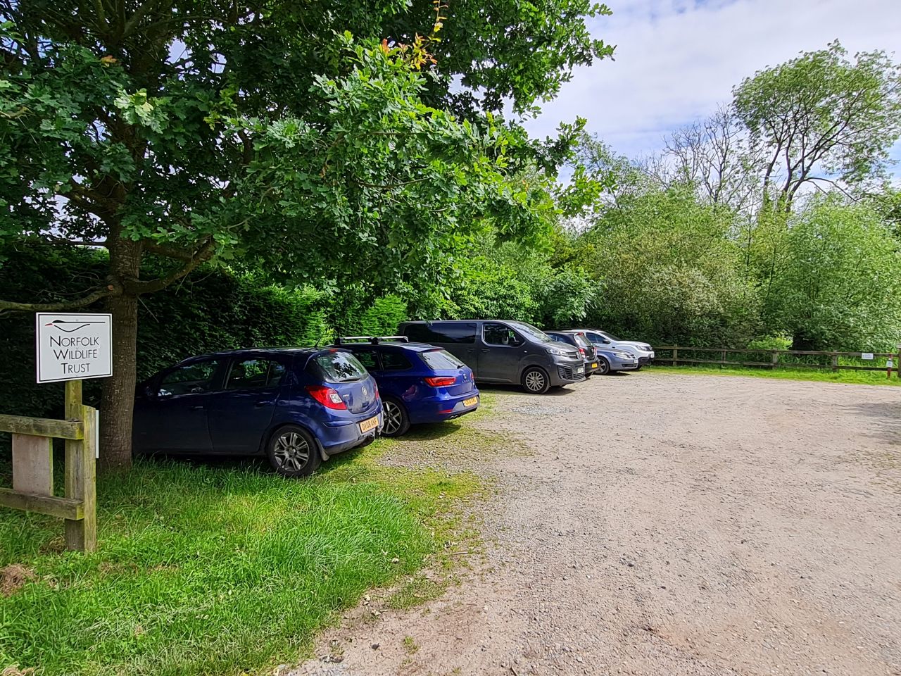 2024-06-04 14 Upton Fen.jpg