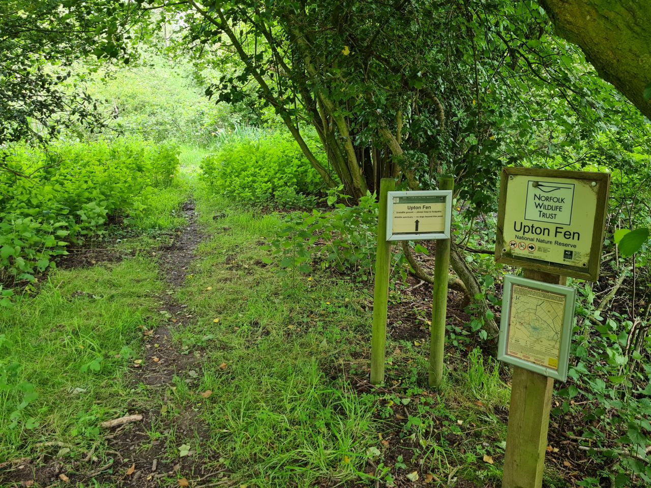 2024-06-04 15 Upton Fen.jpg