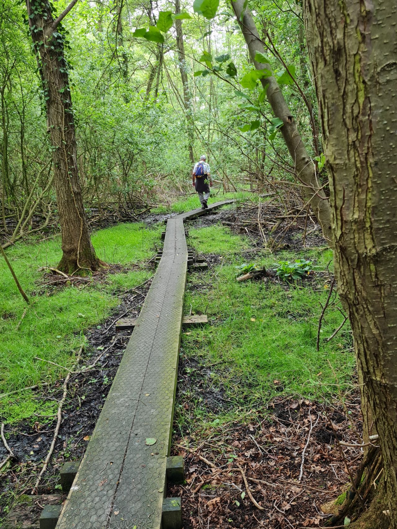2024-06-04 17 Upton Fen.jpg