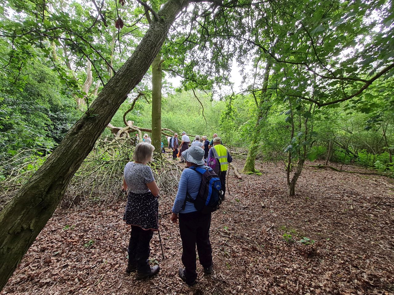 2024-06-04 19 Upton Fen.jpg