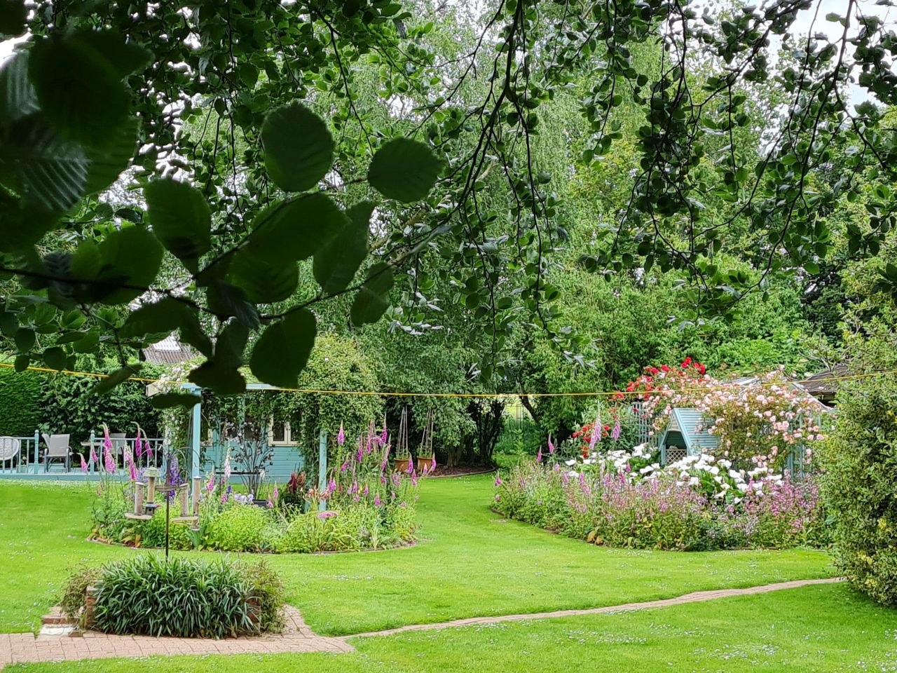 2024-06-04 25 Upton Fen.jpg