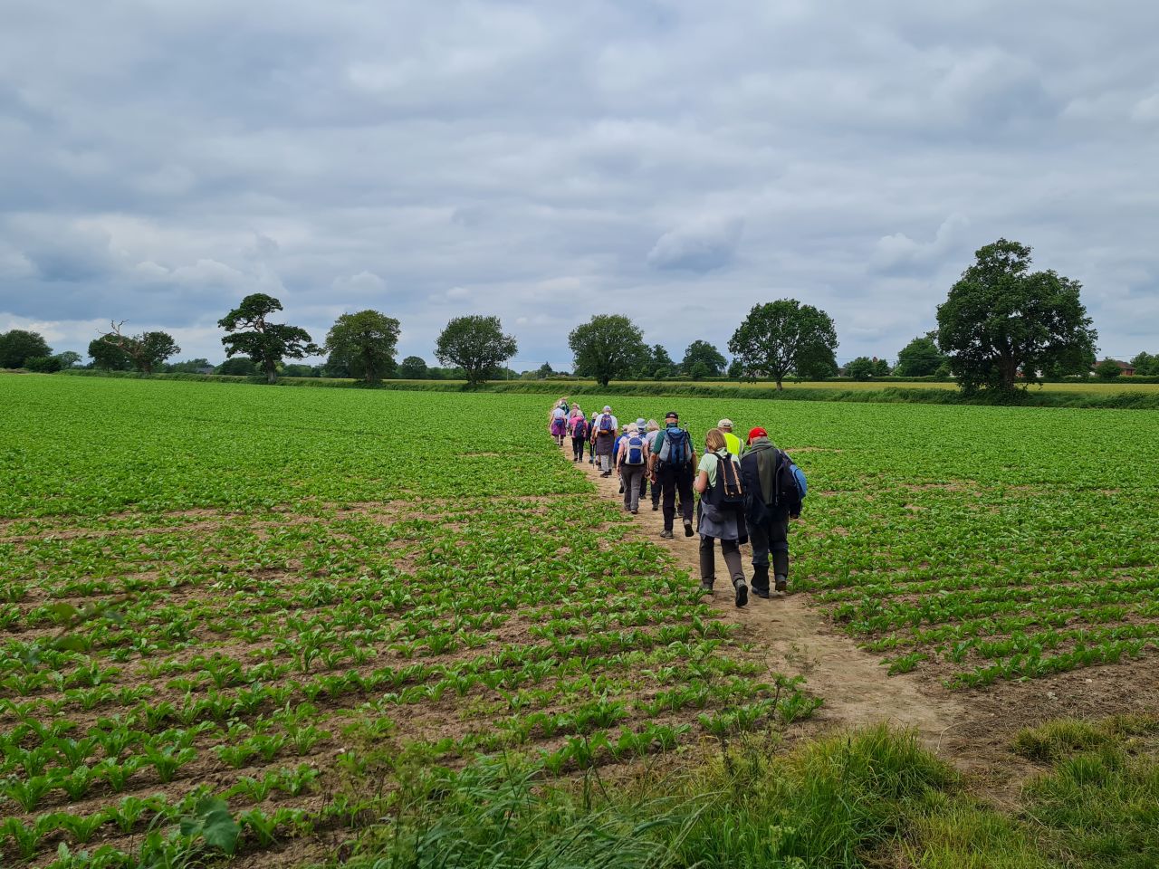 2024-06-04 28 Upton Fen.jpg