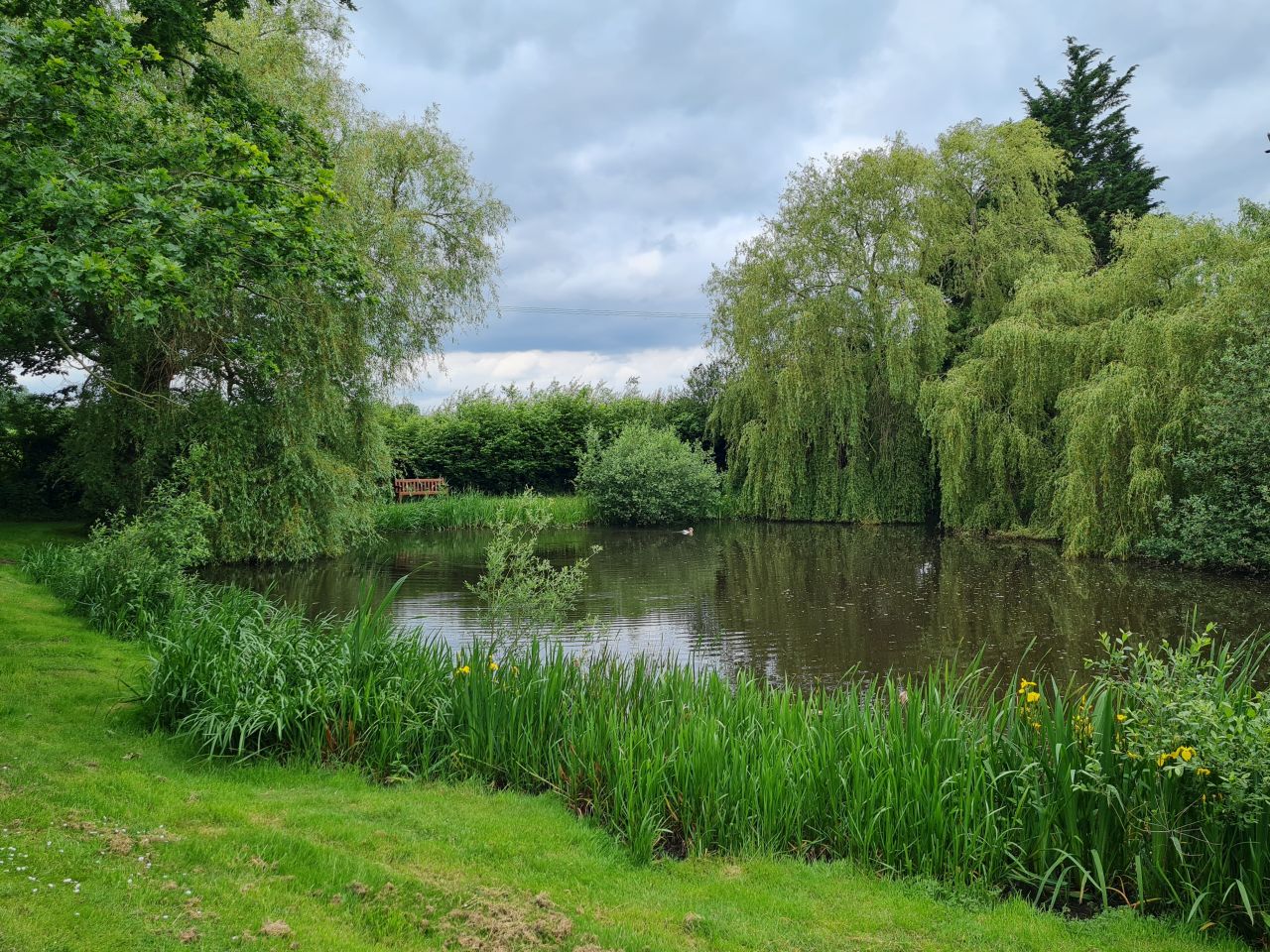 2024-06-04 29 Upton Fen.jpg