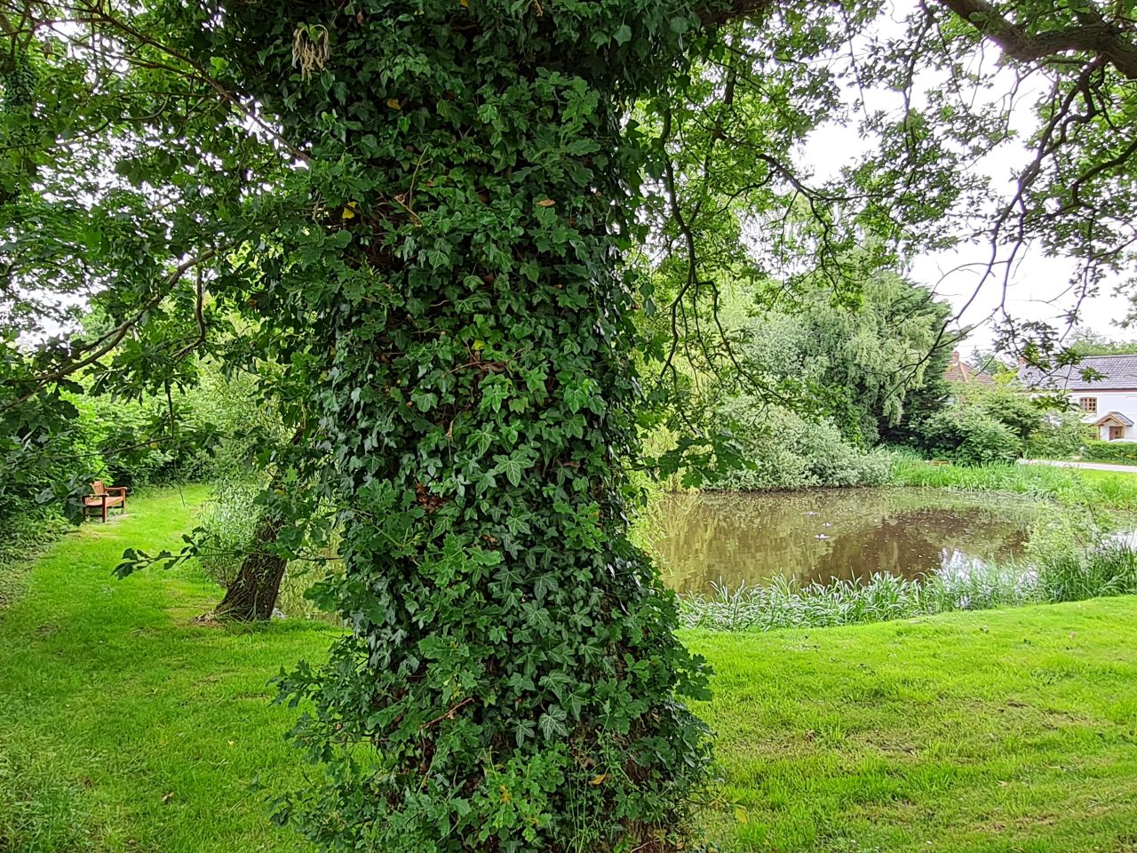 2024-06-04 30 Upton Fen.jpg