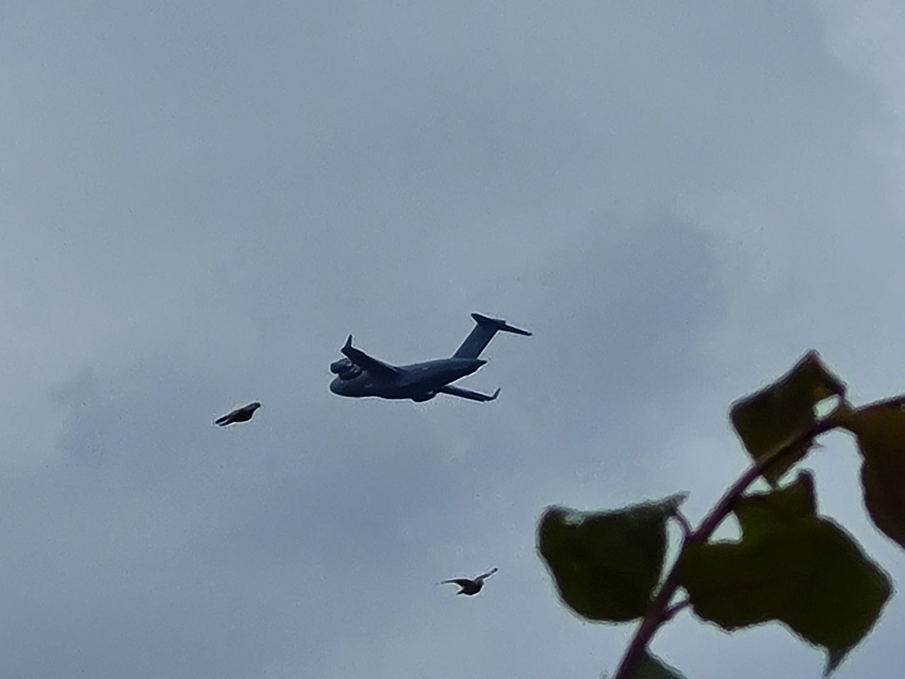 2024-06-04 31 Boeing C-17 Globemaster III.jpg