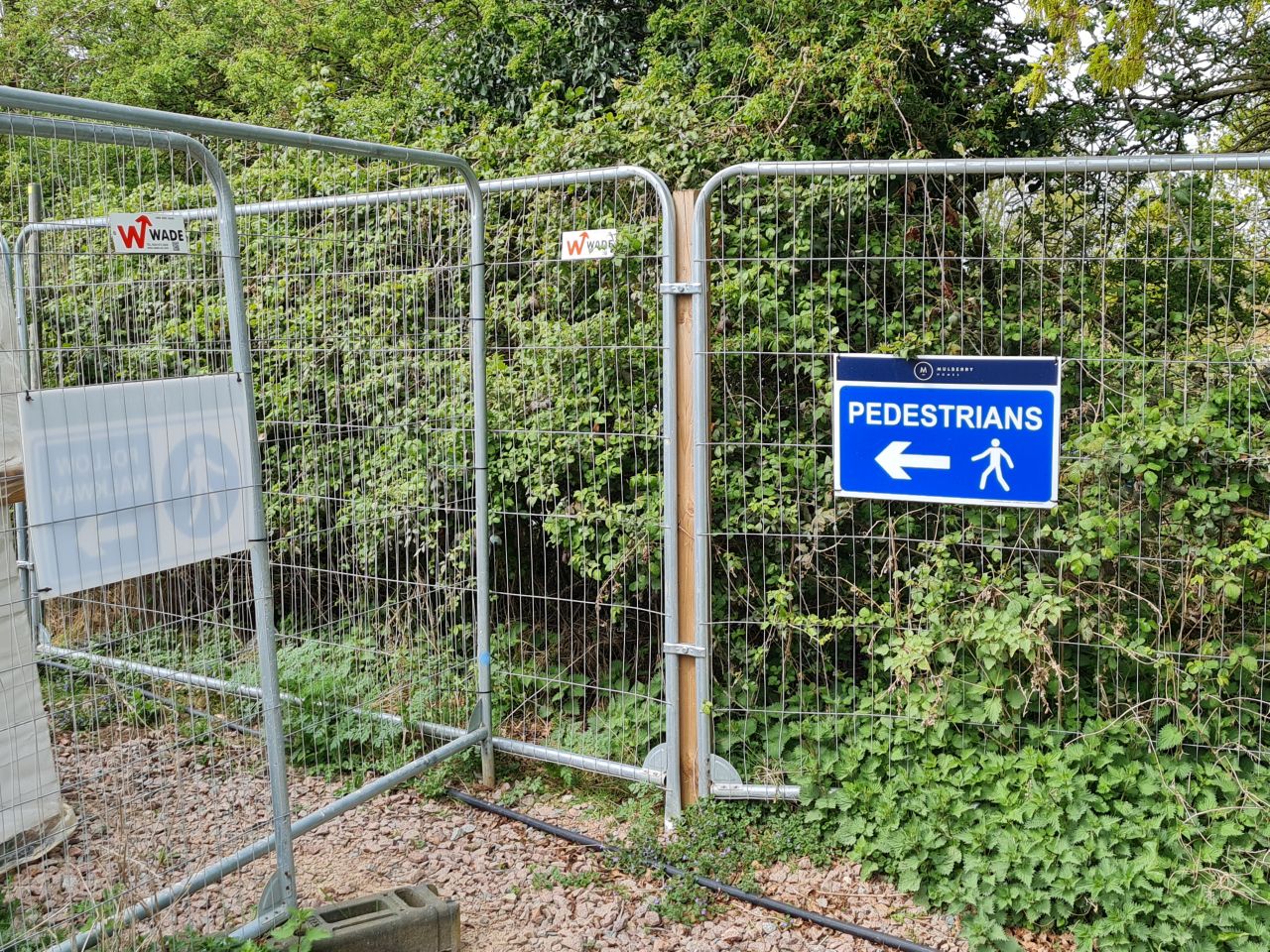 2025-04-19 02 Norton Little Green and Hunston.jpg