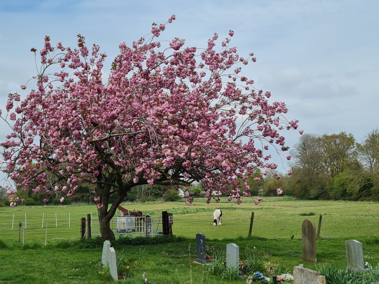 2025-04-19 17 Hunston Saint Michael.jpg