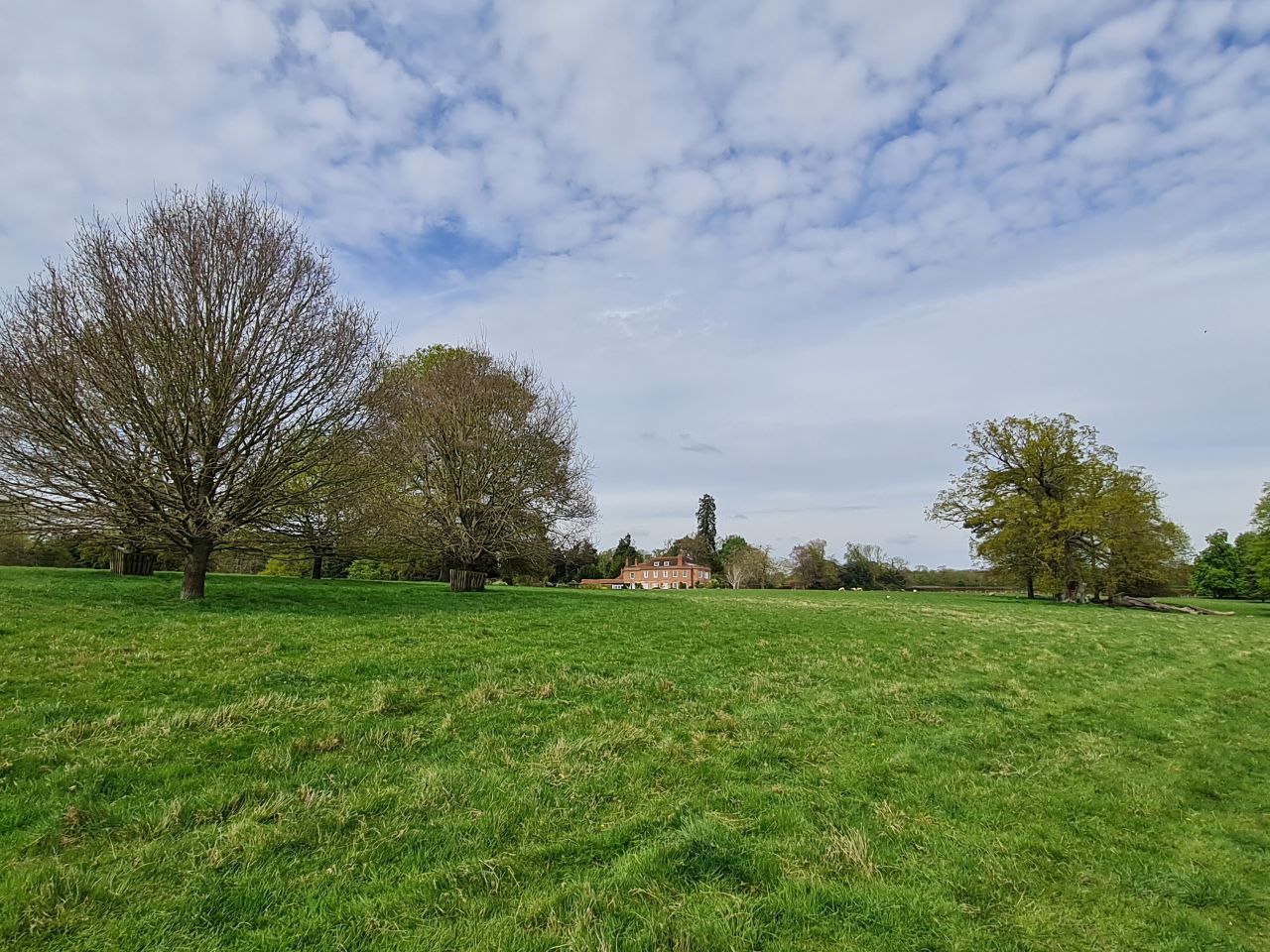 2025-04-19 23 Langham Hall.jpg