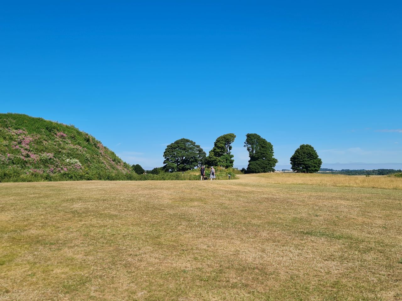2025-07-09 03 Old Sarum.jpg