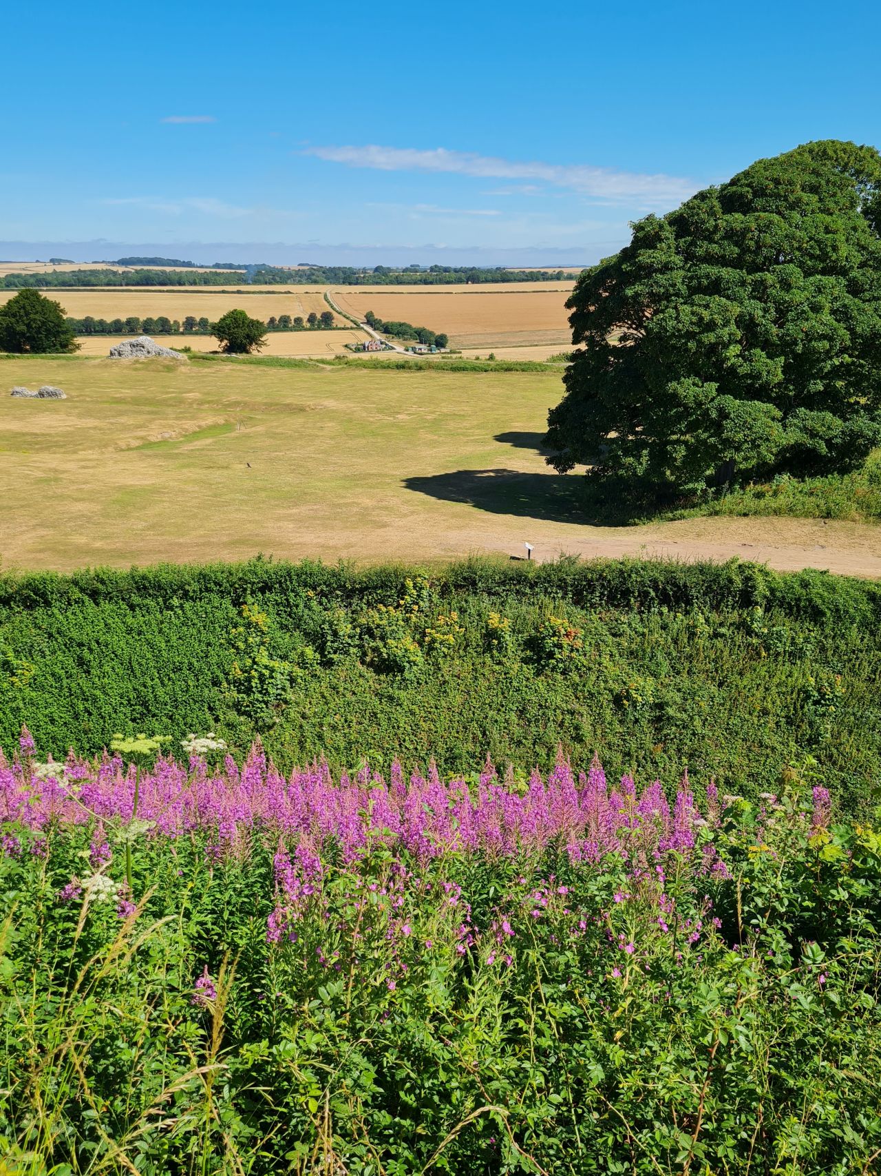 2025-07-09 14 Old Sarum.jpg