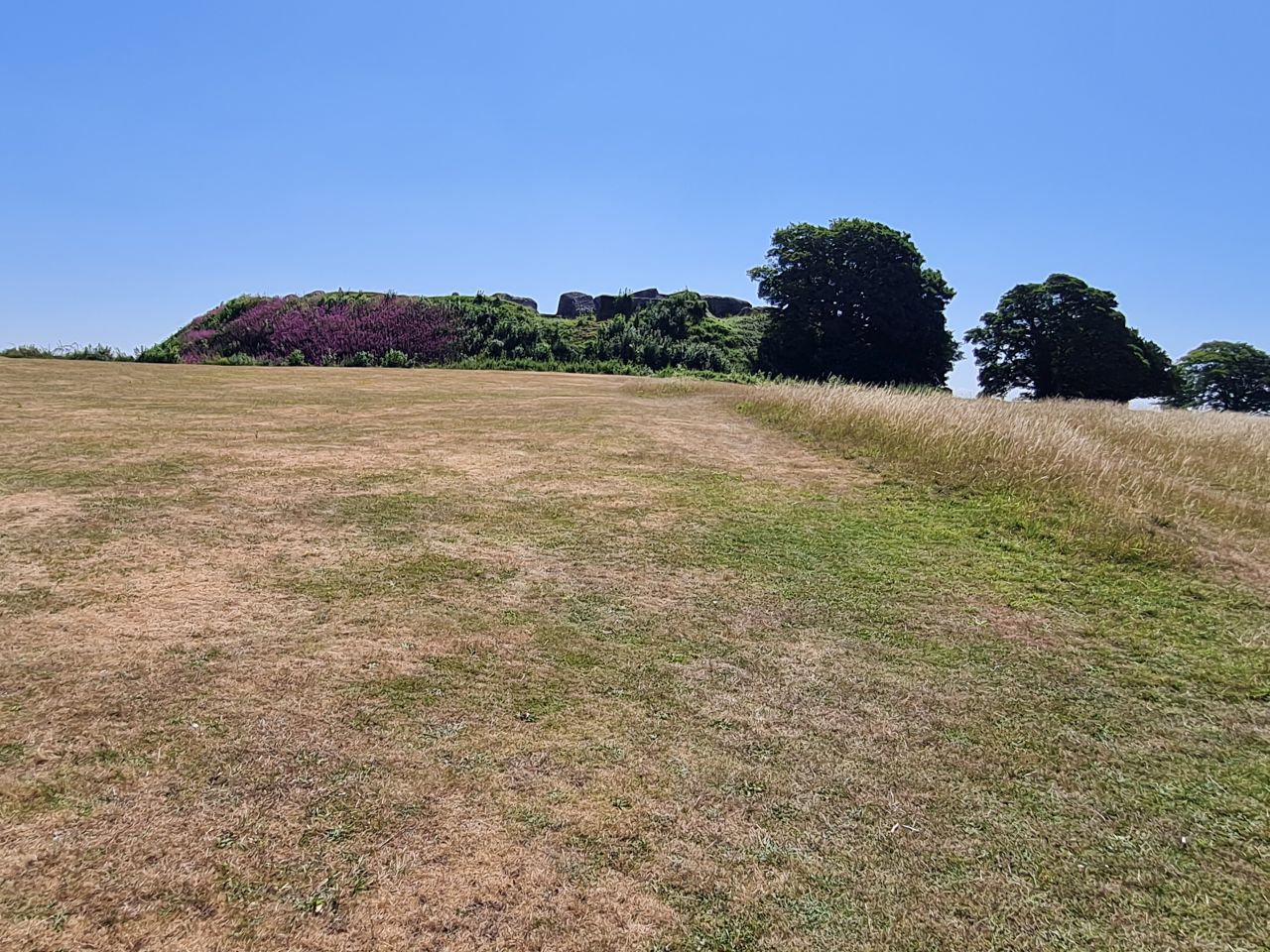 2025-07-09 27 Old Sarum.jpg