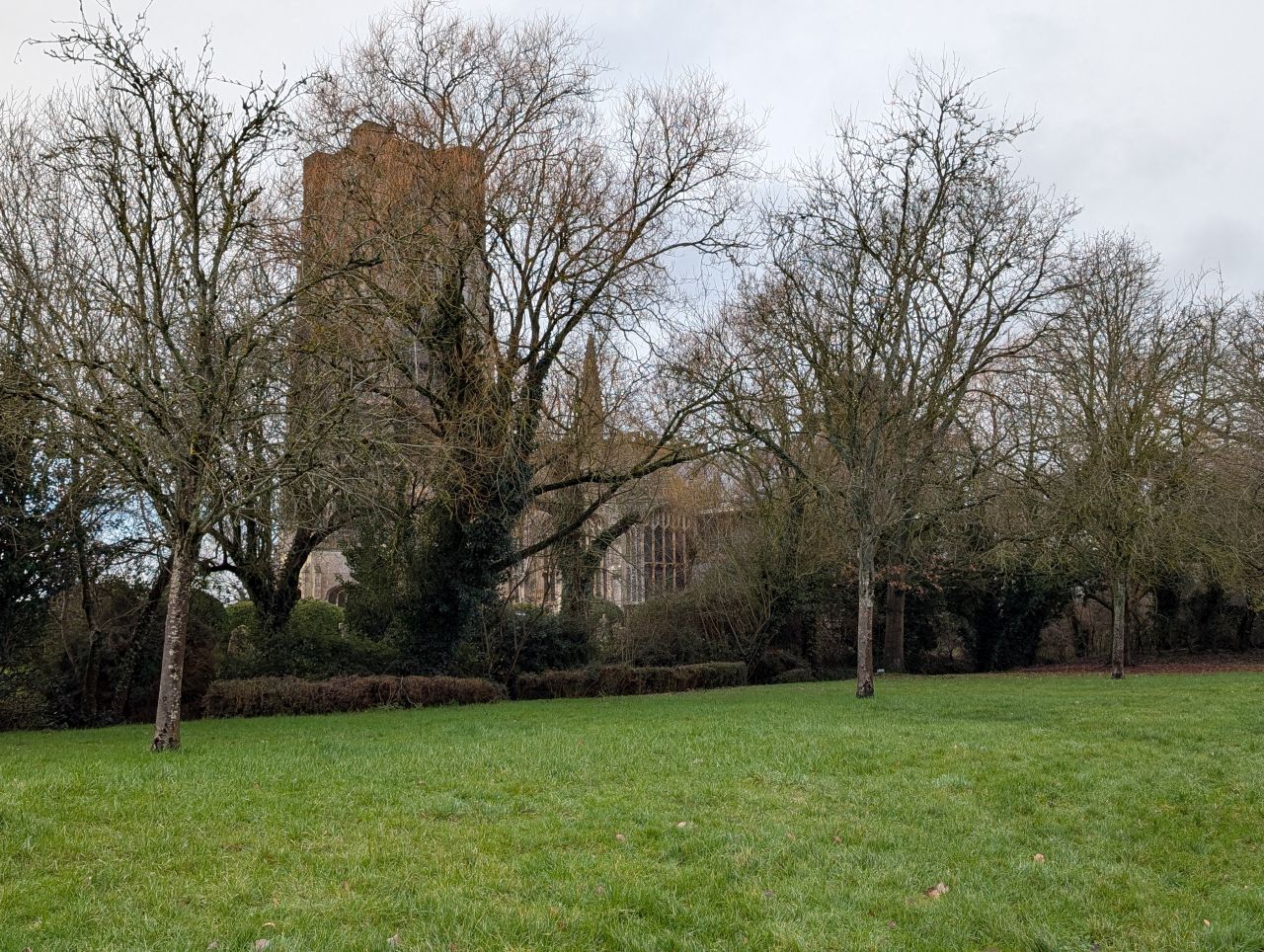 2026-01-31 04 Suffolk Area AGM.jpg