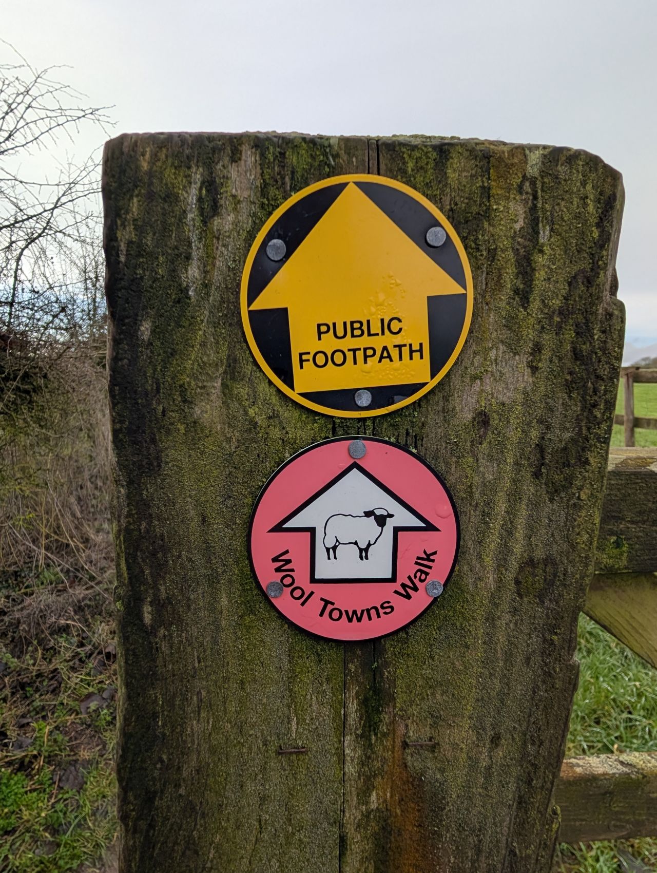 2026-01-31 12 Suffolk Area AGM.jpg