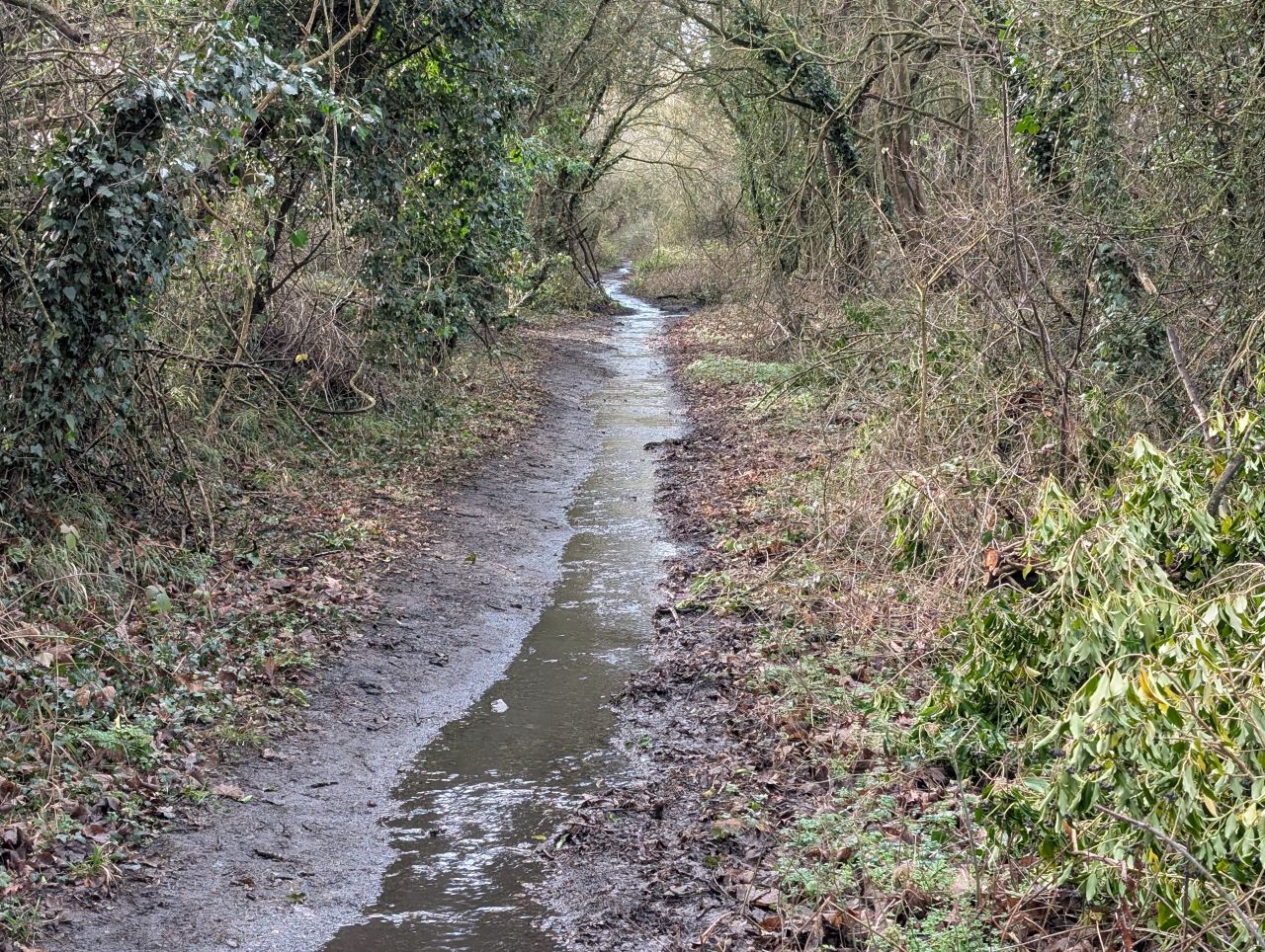 2026-01-31 14 Suffolk Area AGM.jpg