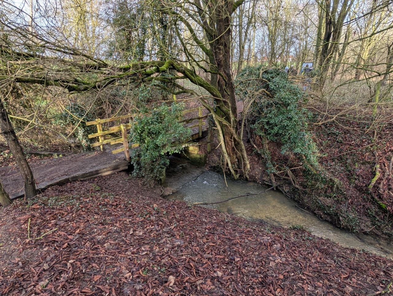 2026-01-31 18 Suffolk Area AGM.jpg